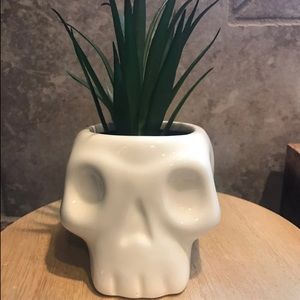 Skull faux succulent